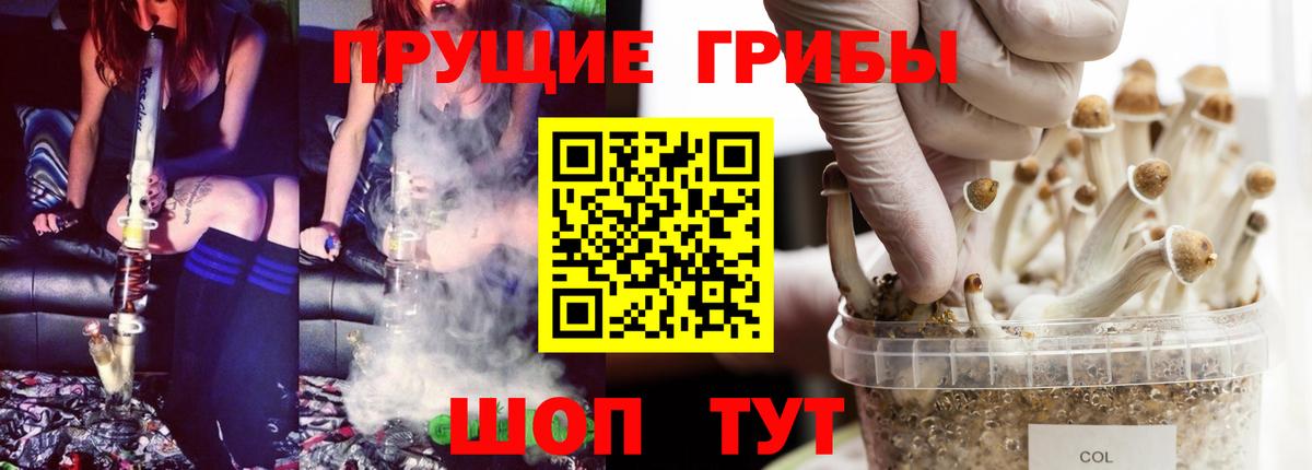 Мариинск  магазин  наркотиков  Вход с VPN  Галлюциногенные грибы мицелий  Псилоцибиновые грибы Magic Shrooms 